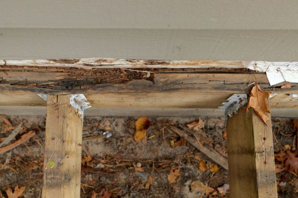 Nashville Wood Rot Repair